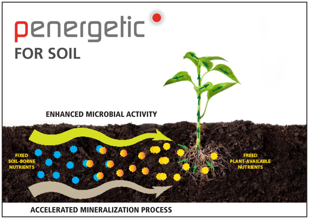 Penergetic Soil Activation_diagram