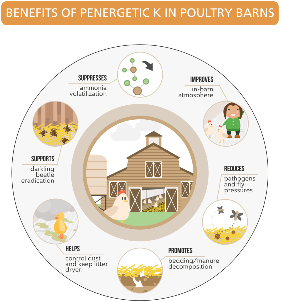Penergetic k for Poultry Barns Pictograph
