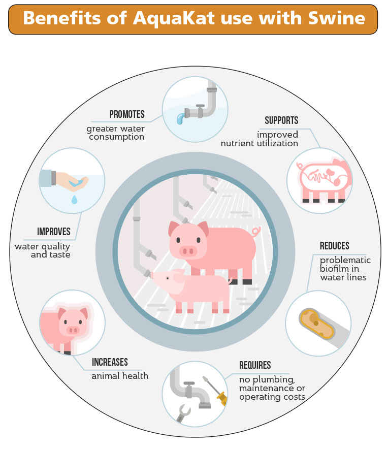 Swine Chart