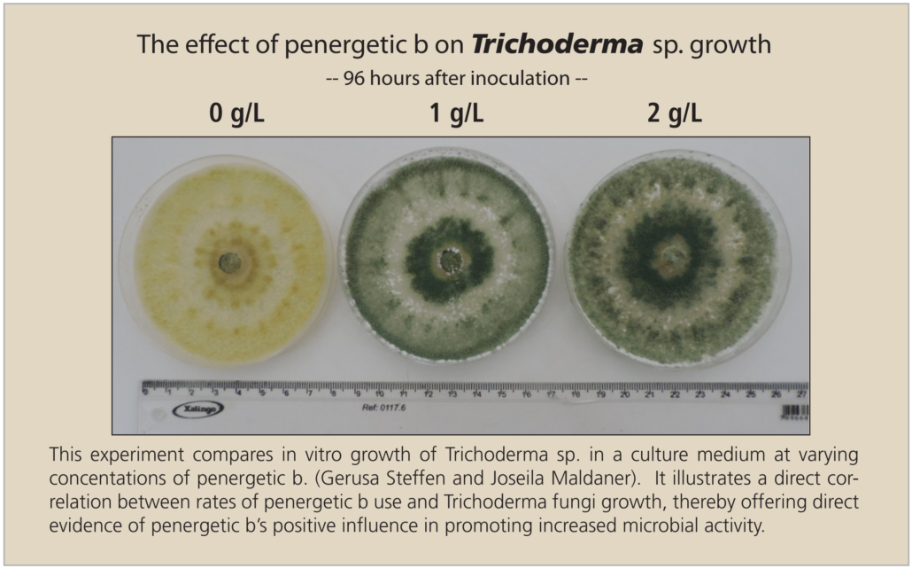 Trichoderma and penergetic b