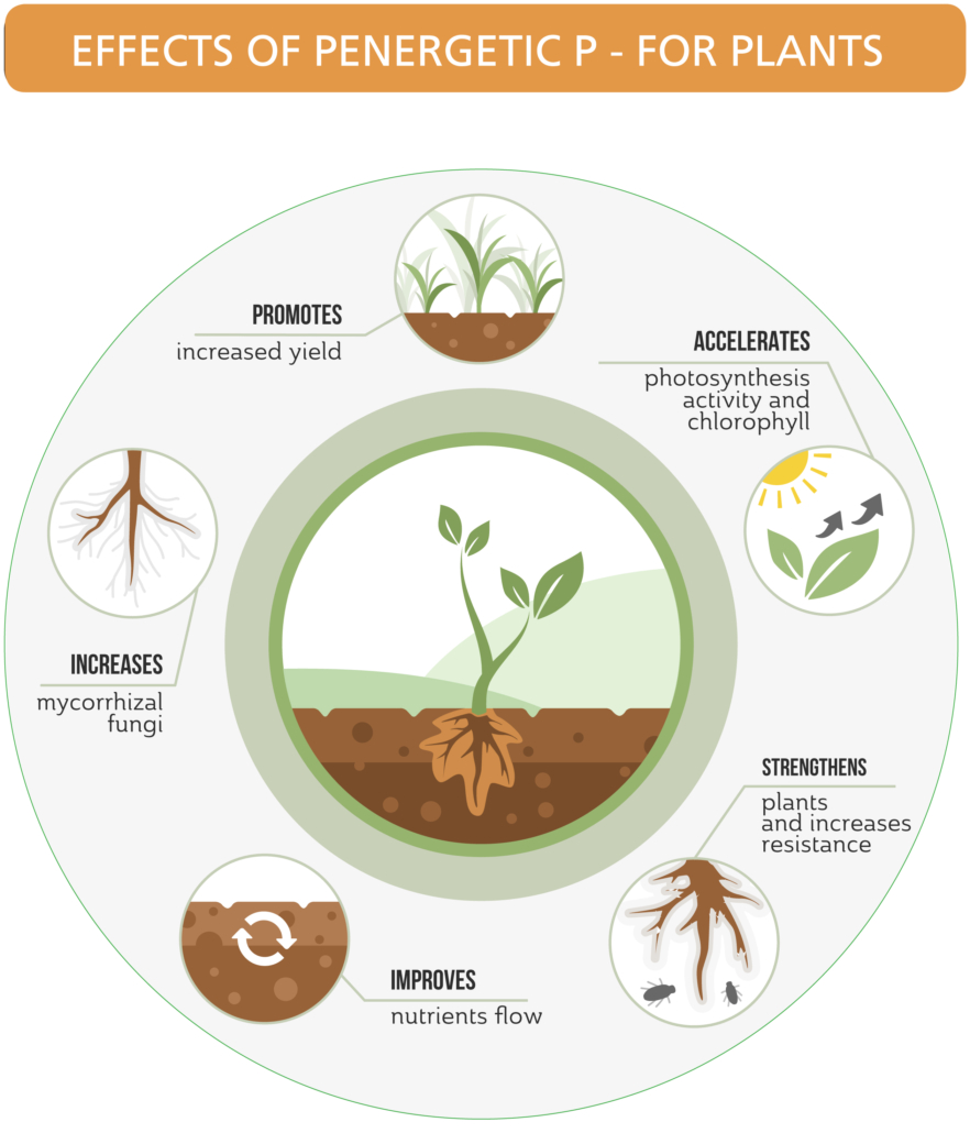 penergetic p for Plants Pictograph_without contact info to insert in body of webpage